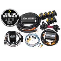 MICROTECH ENTRY LEVEL ECU PACKAGE - 3 ROTOR / 6 CYLINDER
