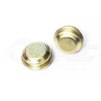 WHEEL BEARING DUST CAPS