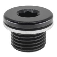 M16X1.5 IN HEX PLUG WITH WASHER