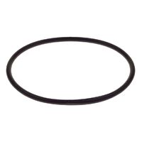 REPLACEMENT O-RING FOR RACEWORKS ALY-121BK