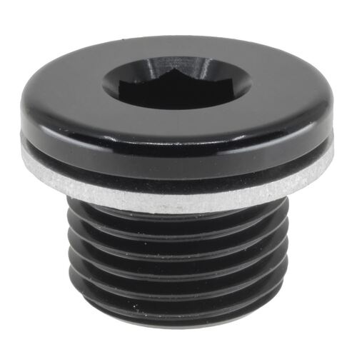 M16X1.5 IN HEX PLUG WITH WASHER